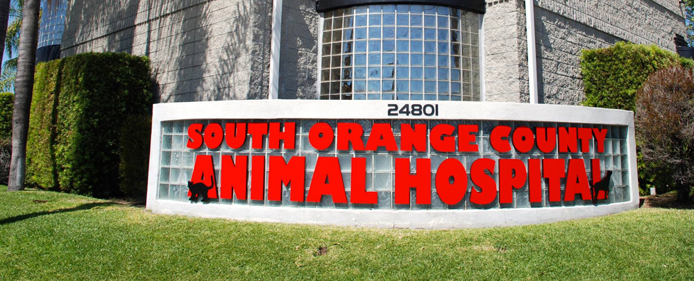 South Orange County Animal Hospital cover