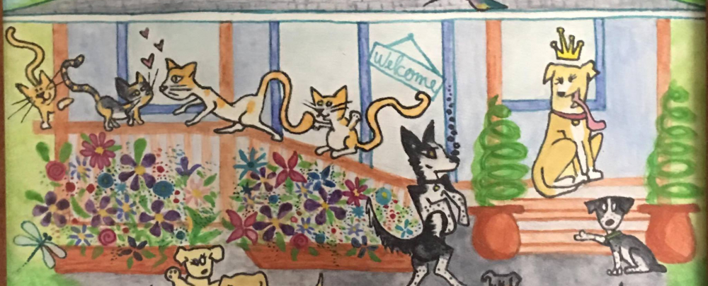 Bayside Animal Lodge, LTD. cover
