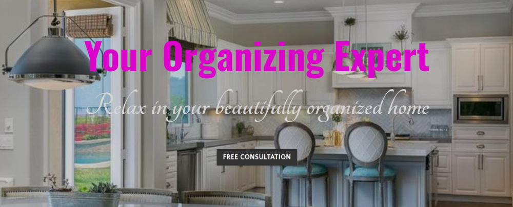 Absolutely Organized LV cover