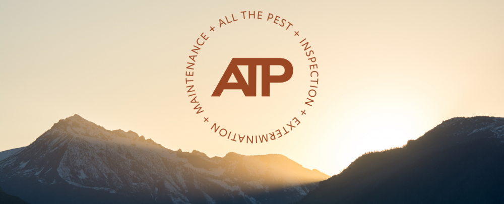 All The Pest Solutions cover