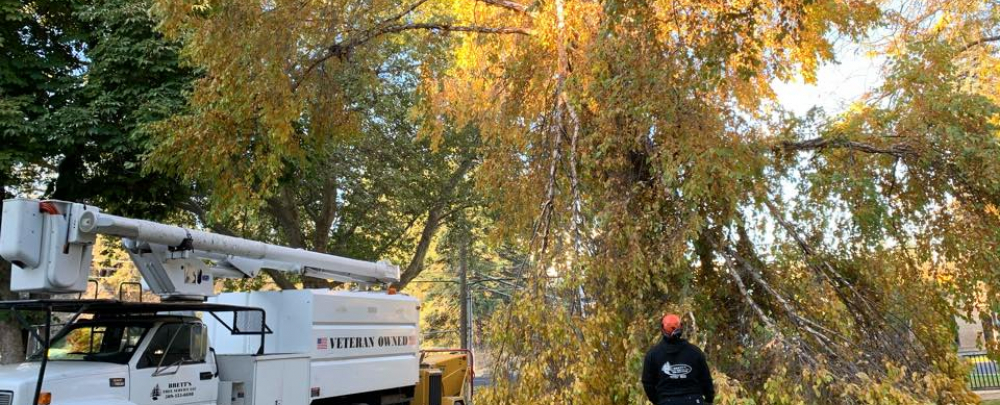 Brett's Tree Service cover