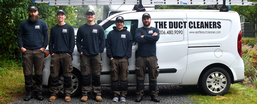 The Duct Cleaners cover