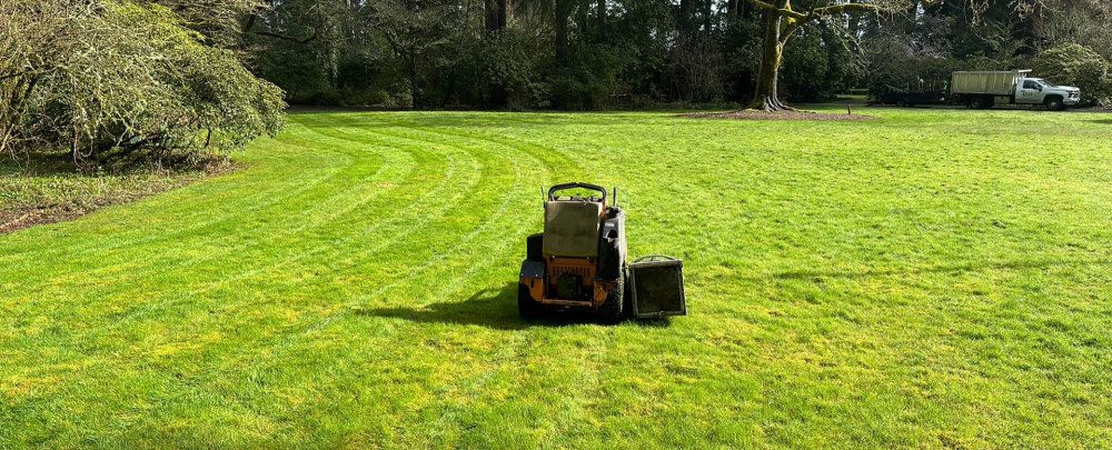 ECO Landscaping cover