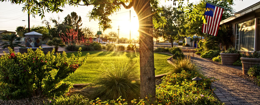 Gold Medal Gardening cover