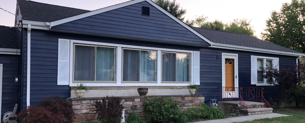 Pivot Painters cover