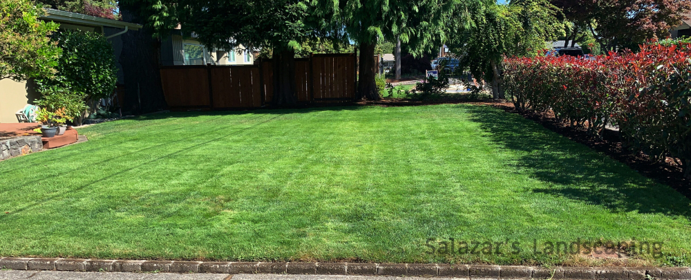 Salazar's LANDSCAPING & Lawn Care Services cover