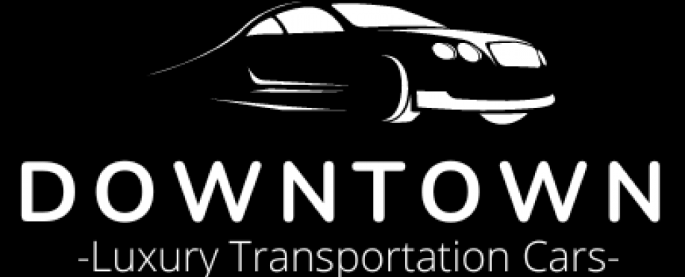 San Diego Downtown Transportation cover