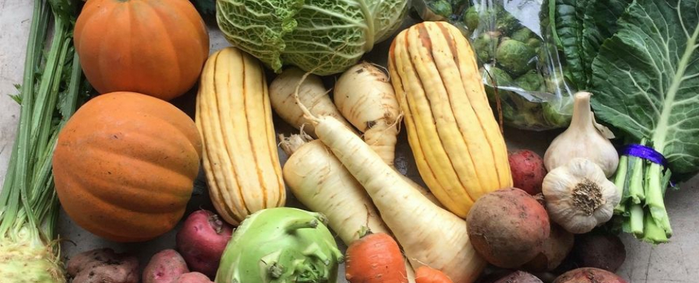 Local Roots Farm cover