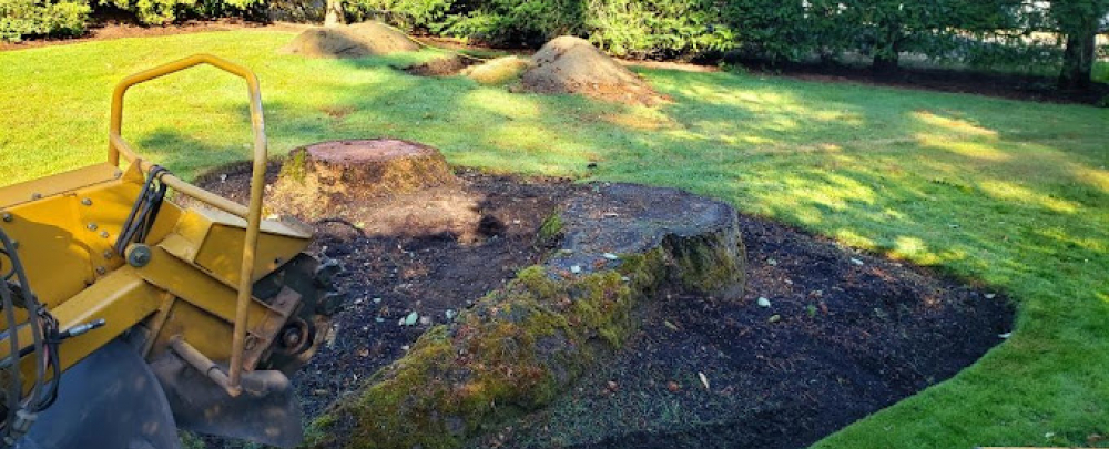 Tellier Stump Grinding cover