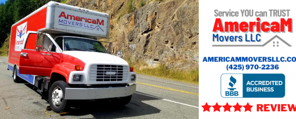 AmericaM Movers cover