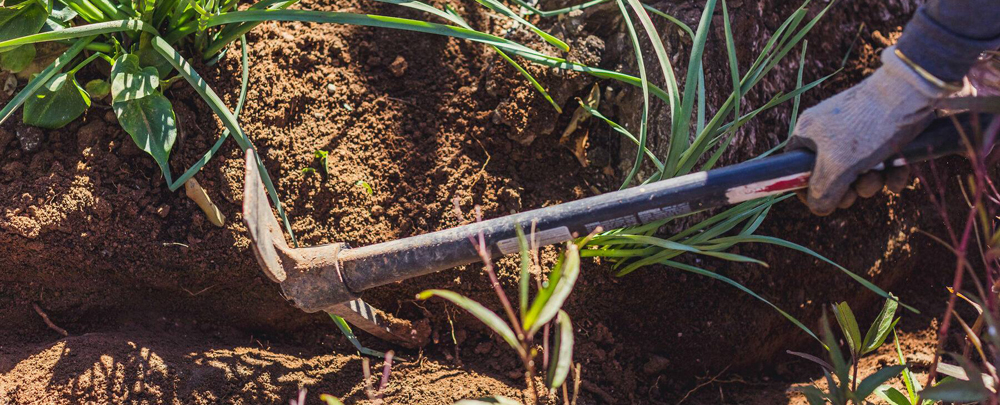 Springs of Life Irrigation cover
