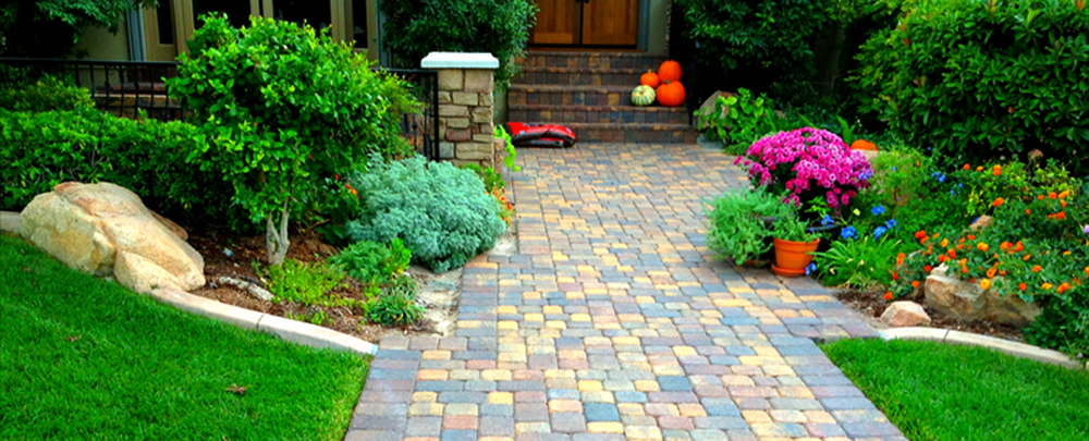 Sunny Landscaping & Pavers Design LLC cover