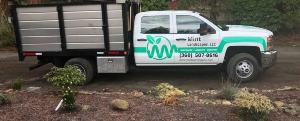 Mint Landscapes cover