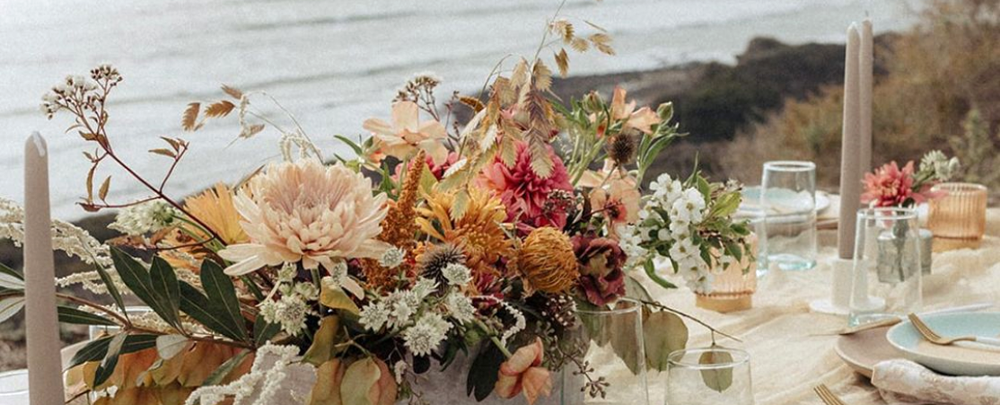 Flower Frenzy cover