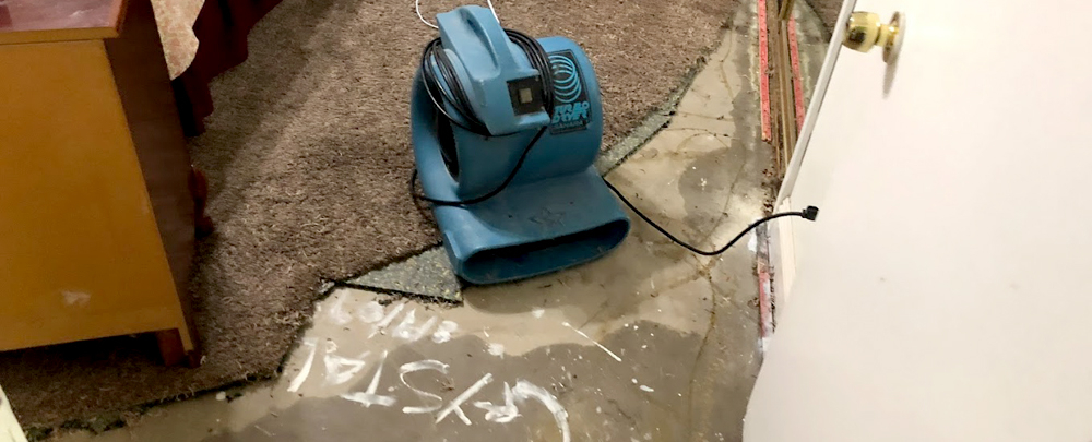 Five Star Carpet Cleaning and Restoration cover