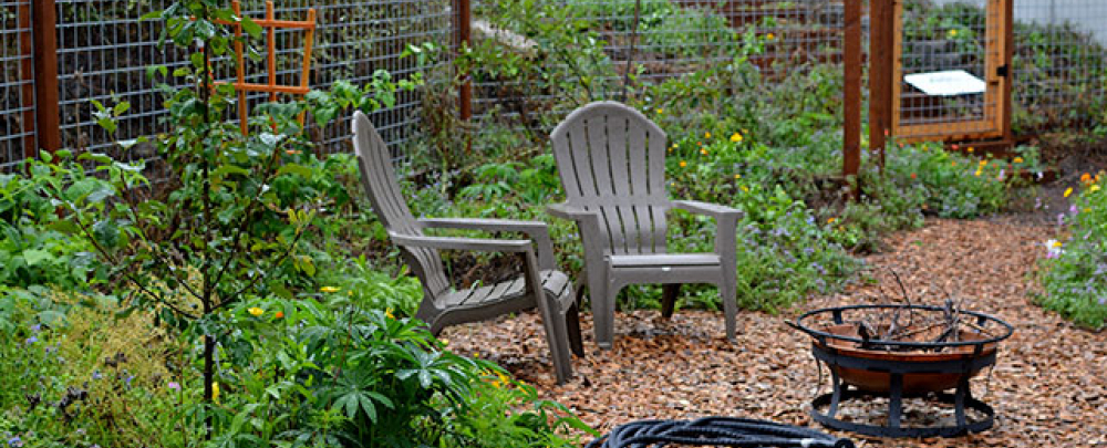 Savory Landscaping cover