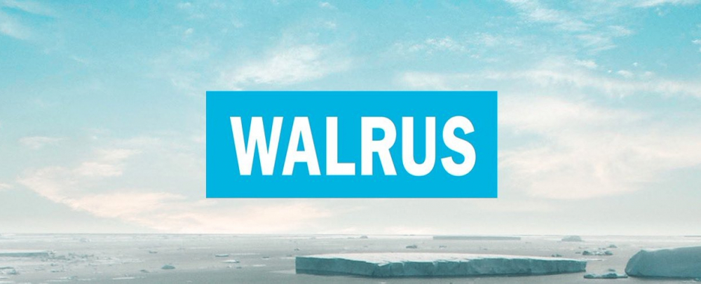 Walrus | New York NY | Goodviser