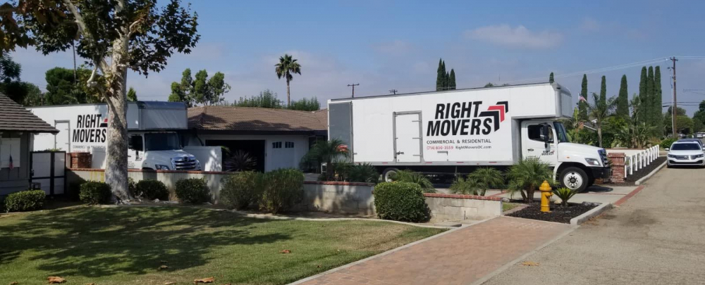 Right Movers,Inc. cover