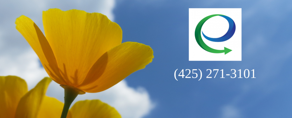 Eastside Insurance Services cover