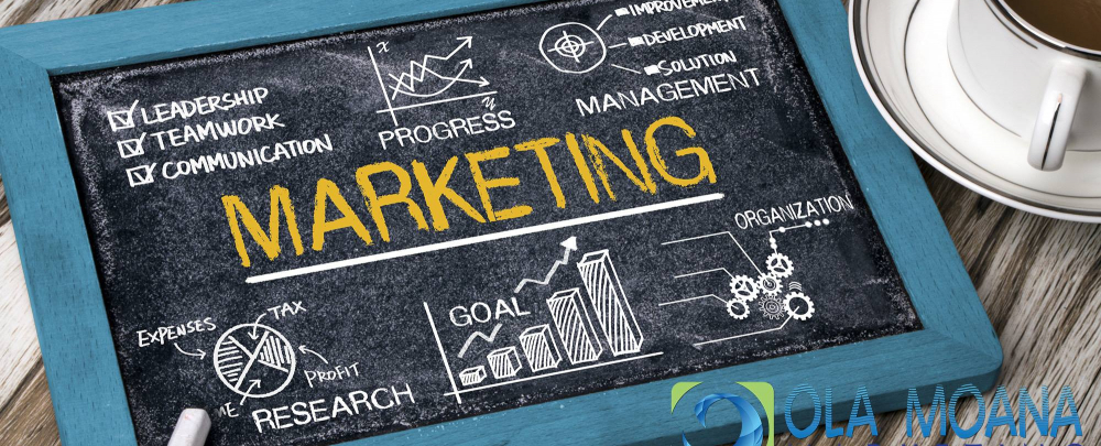 Ola Moana Marketing cover