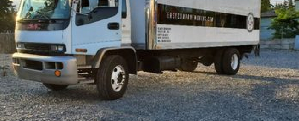 Easy Company Professional Moving cover