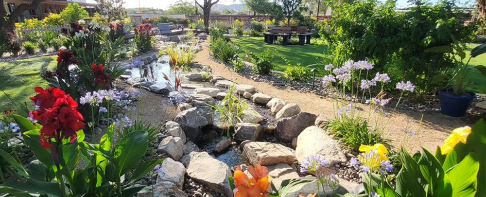 The Pond Gnome cover