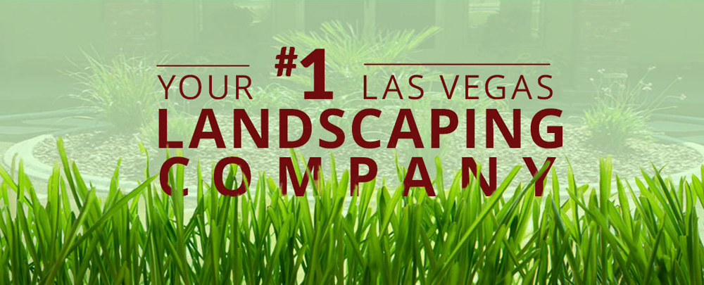 Cacti Landscapes cover