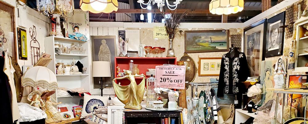 Treasures N Junk cover