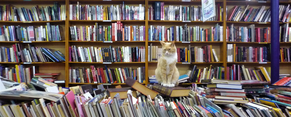 The Iliad Bookshop cover