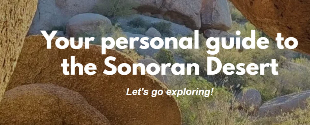 Sonoran Explorin Tours cover