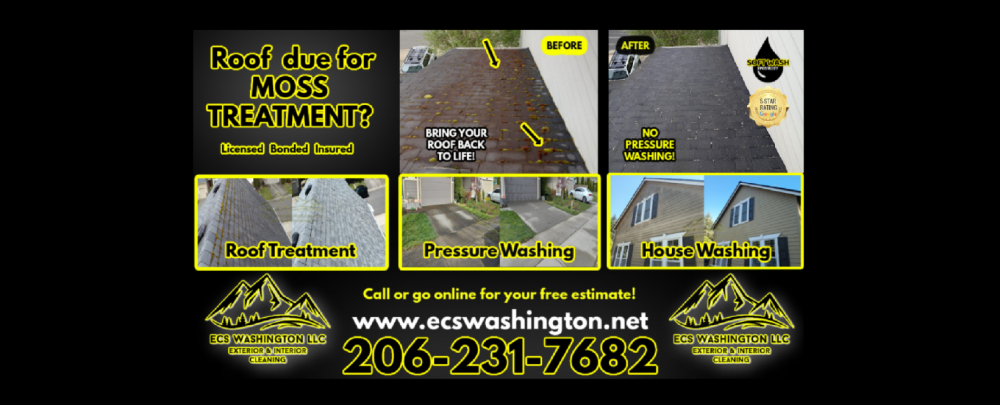 ECS Washington cover