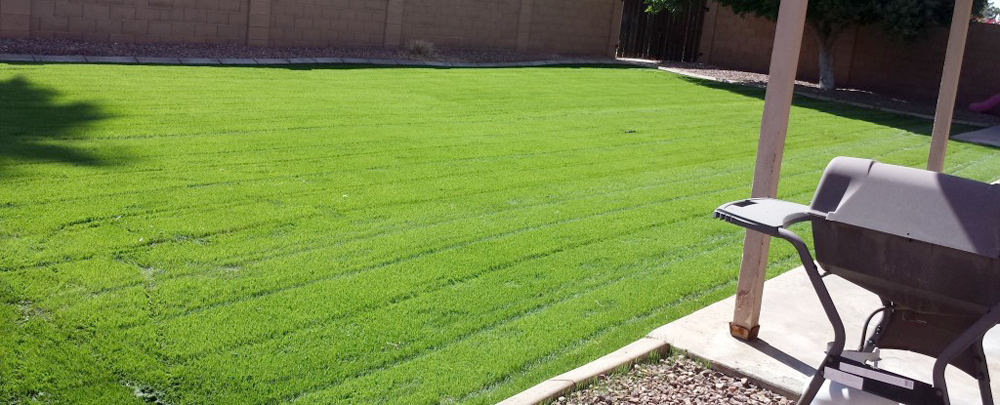 BV Lawn Care cover