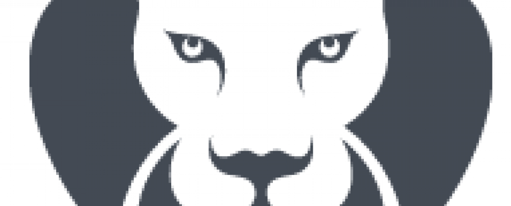 De Leon Accounting cover