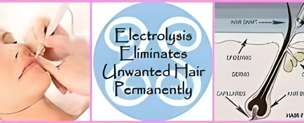 Monroe Electrology cover