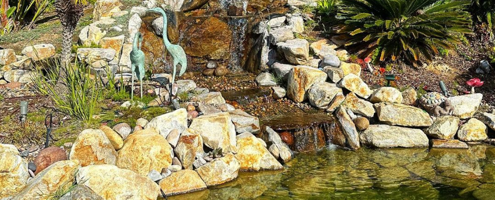 San Diego Pond Solutions cover