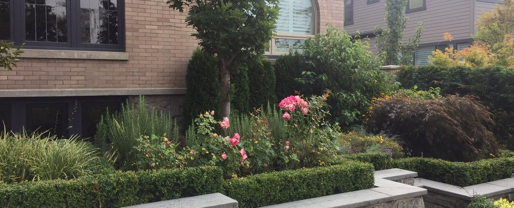 Alpenglow Landscaping cover