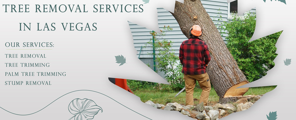 Duranchi Tree Services cover