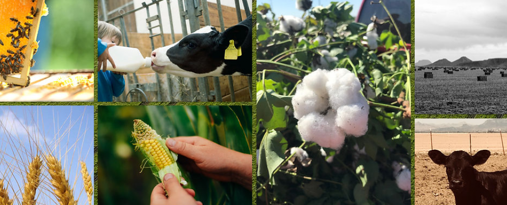 FARM Inc. cover