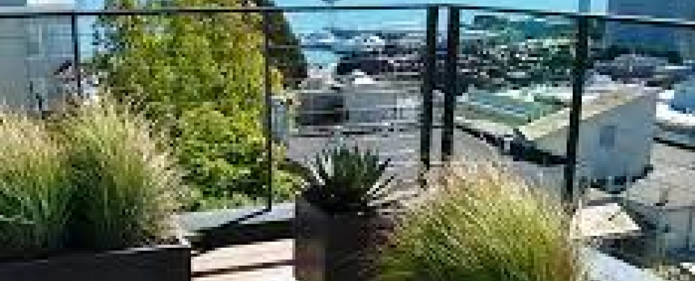 Spade Gardens & Landscaping cover