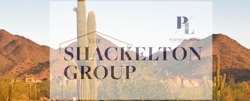 The Shackelton Group cover
