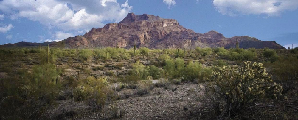 Discover Salt River cover