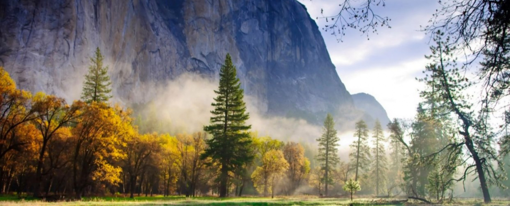 Certainty Management LLC cover