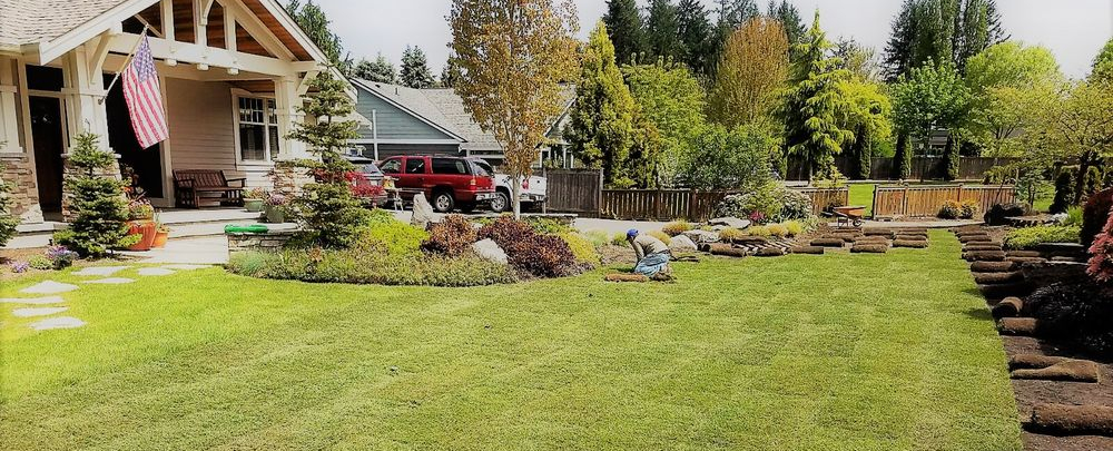 Paradise Landscaping Services cover