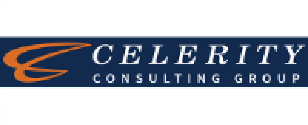 Celerity Consulting Group INC cover
