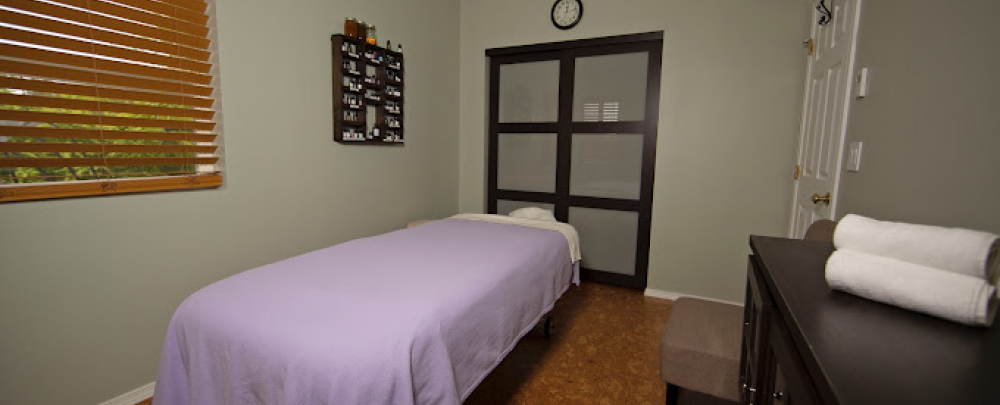 Willow Rose Wellness cover