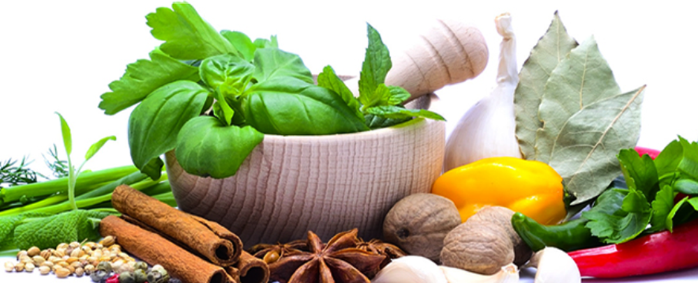 Health for Life Naturopathic Medicine cover