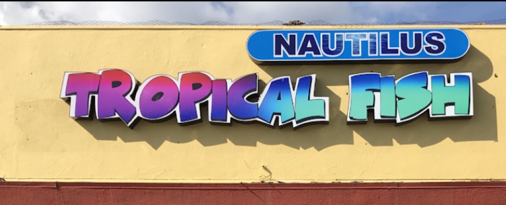Nautilus Tropical Fish cover