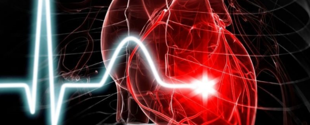 To the Heart CPR cover