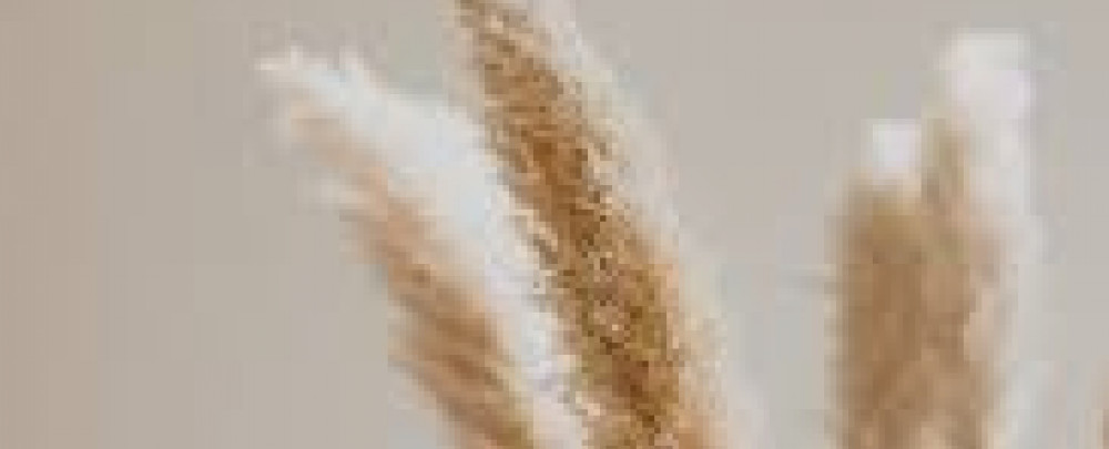 Elena San Diego Nails cover