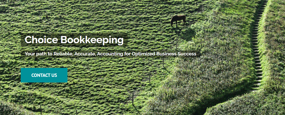Choice Bookkeeping Inc cover
